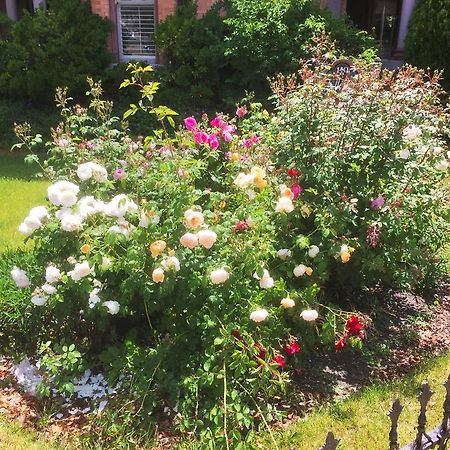 Historic Ellerbeck Mansion Bed & Breakfast Salt Lake City Exteriör bild