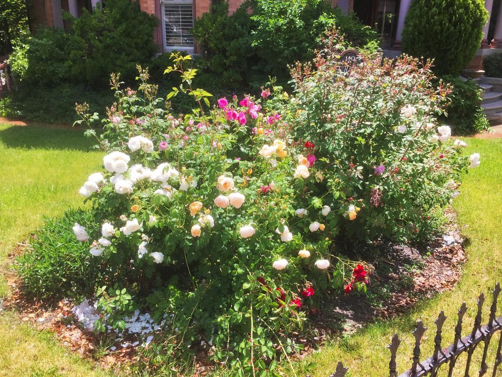 Historic Ellerbeck Mansion Bed & Breakfast Salt Lake City Exteriör bild